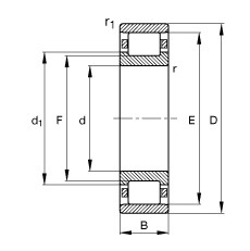 N204-E-TVP2 Cylindrical roller bearings