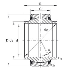 GE20-HO-2RS Radial spherical plain bearings