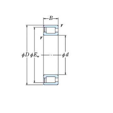 Bearing NCF1840V