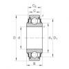 204-KRR Radial insert ball bearings