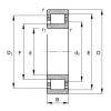 NJ204-E-TVP2 Cylindrical roller bearings