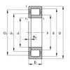 NUP204-E-TVP2 Cylindrical roller bearings