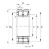 SL185004 Cylindrical roller bearings