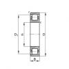 20204-TVP Barrel roller bearings