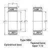 Bearings Cylindrical Roller Bearings NNU4980