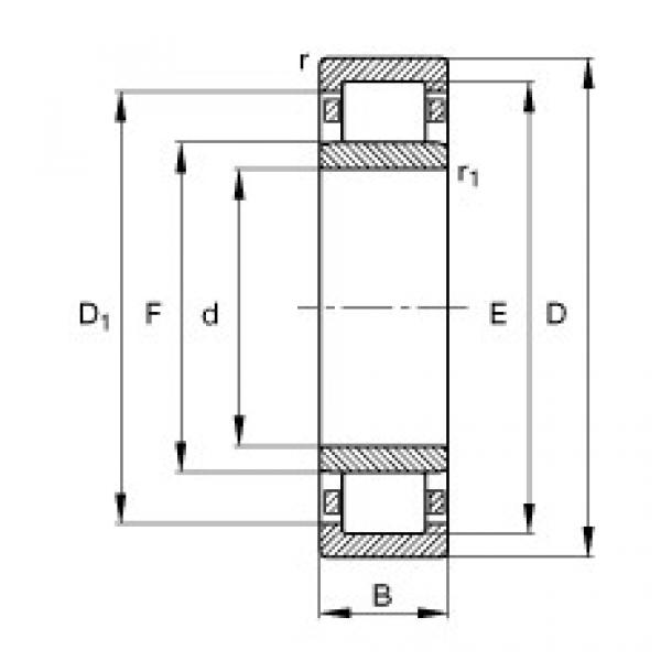 NU204-E-TVP2 Cylindrical roller bearings #1 image