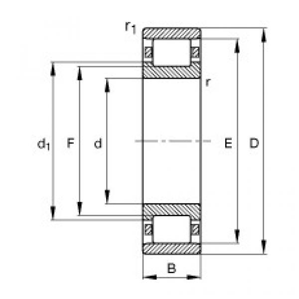 N204-E-TVP2 Cylindrical roller bearings #1 image