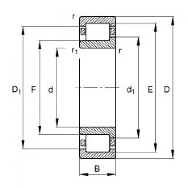 NJ204-E-TVP2 Cylindrical roller bearings #1 image