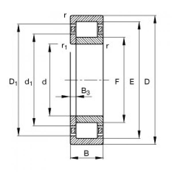 NUP204-E-TVP2 Cylindrical roller bearings #1 image