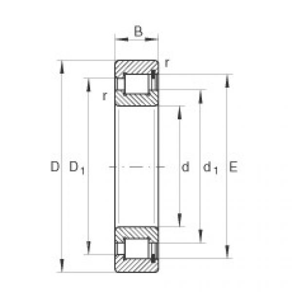 SL182204 Cylindrical roller bearings #1 image