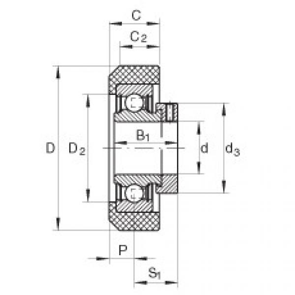 RCRA20/46-FA106 Radial insert ball bearings #1 image