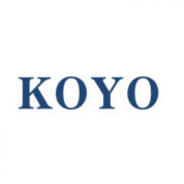 KOYO BEARINGS JAPAN #1 image